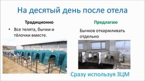 Откорм бычков хитрости технологий