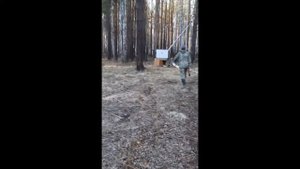 Спортинг патрон 24 грамма против дисперсанта 12 калибр ТОЗ-34 для вальдшнепа