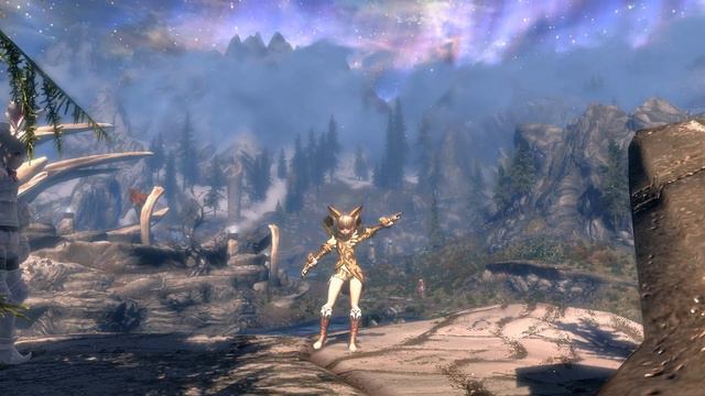 Dance Synchronizator (TES5). Elins at Sovngrad. смотреть онлайн