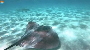 French Polynesia Islands by Drone