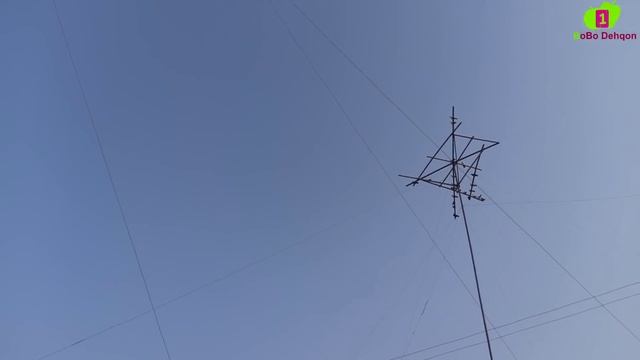 Кабутарлар зурлари 200та Покистон бакнски Андижаниский жиззах учмалар KABUTARLAR 30 metrli PETLA