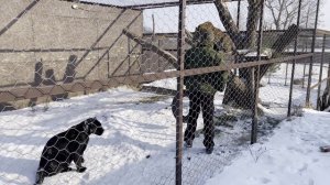 Зимнее настроение