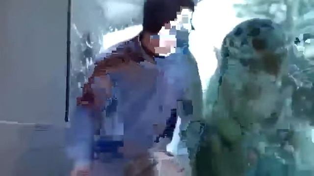 Смешное видео про животных нелепые моменты из их жизни смотреть онлайн