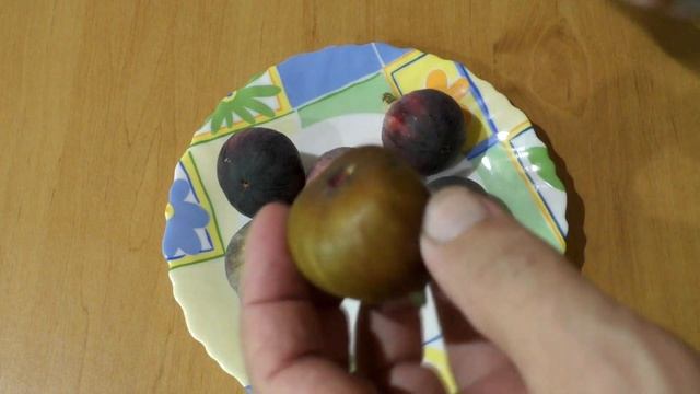 Инжир. Фландрия ,дегустация 23 смотреть онлайн