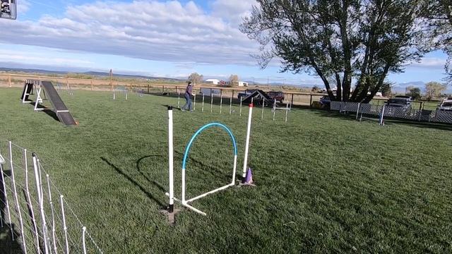 Java Pool Regular смотреть онлайн