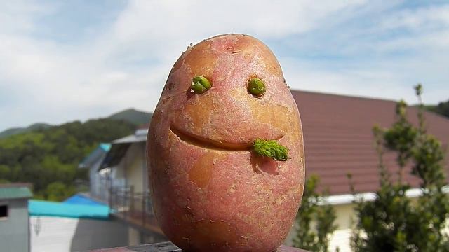 С ДНЁМ РОЖДЕНЬЯ ОЛЕГ от Картофана