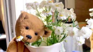 Уникальные мишки Тедди с русским шармом