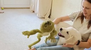 Игры в 3 месяца