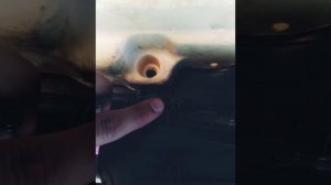 Hyundai Solaris съём клипсов с внутренней стороны двери на стеклоподъёмниках 2010-2016 год