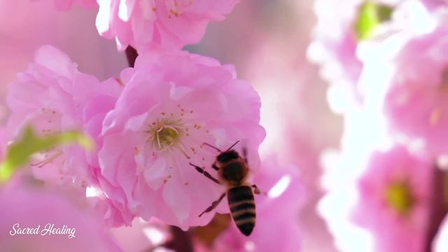 Tibetan healing flute 432Hz | Banish all bad energy | Release all blockages Meditation & Sleep смотреть онлайн