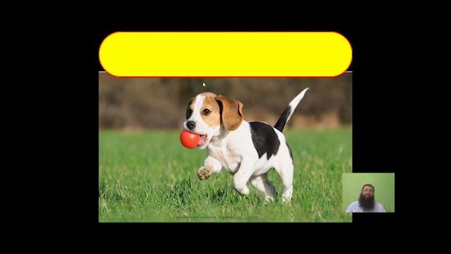 Day 2 Batch 7 00 смотреть онлайн