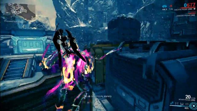 Boar (Prime): Is it worth it?