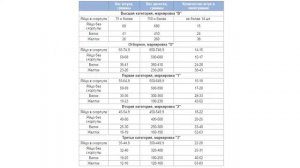 Сколько весит куриное яйцо