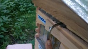 Улей из которого вытекает мёд. Тест в России. 6 часть