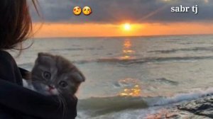 🌻Бехтарин Суруди Эрони🏵 Дарё туи Сохил манам 💐