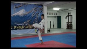 3 кю, коричневый пояс