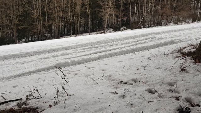 Polaris Frontier 800 Edge 136 смотреть онлайн