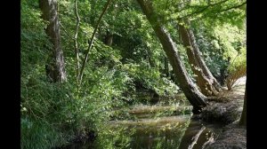 Le château de Dampierre - Yvelines - Région Île de France - France