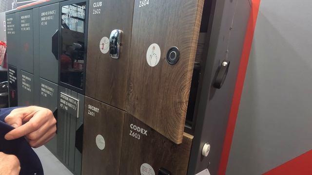 МЕБЕЛЬНАЯ КОНФЕРЕНЦИЯ CONF-FU FEST CHINA 2024 SENSOR 
Z604  — сенсорный электронный замок