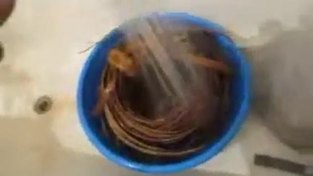 размачиваем