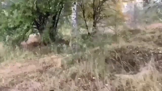 КУБАНСКИЕ ОБЖОРЫ ОПЯТЬ ВСЕ СОЖРАЛИ! ОЛЮНЯ И КОТЮНЯ.