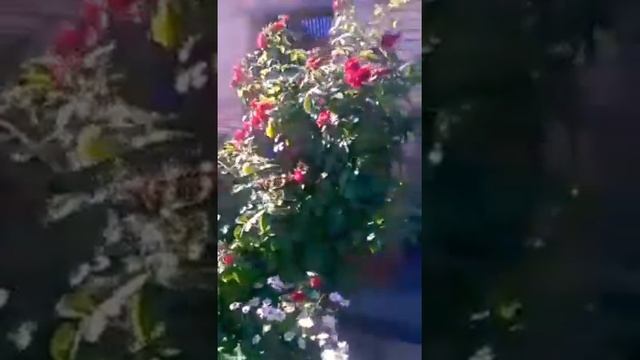 Пристройка к даче, 2017 год. Черновая кладка кирпича.
