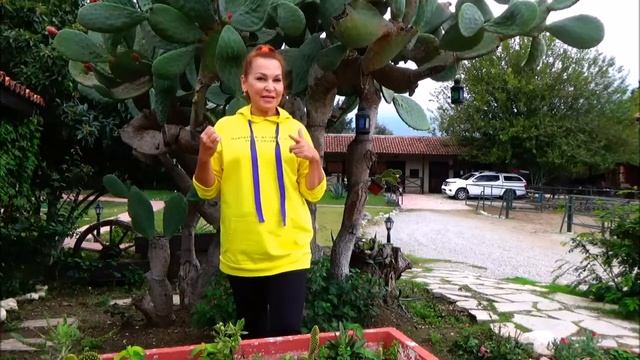 КОЛЮЧИЙ, НО ВКУСНЫЙ. О ПОЛЬЗЕ ПЛОДОВ КАКТУСА. смотреть онлайн