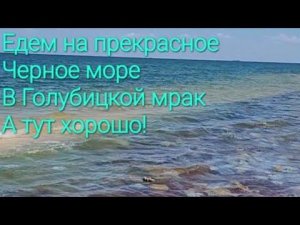 На Черном море хорошо! Столовая мотеля 149 километр, они козлят на меня.