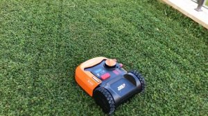 Worx Landroid wr143e robot mower first run