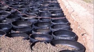 Самые лучшие дороги в мире