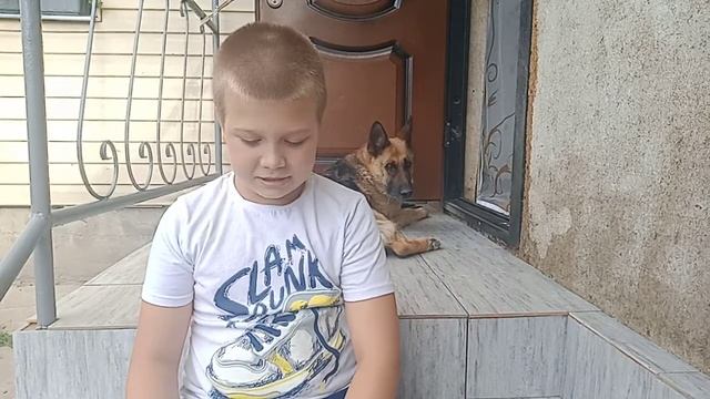 рассказ как собака друга искала смотреть онлайн