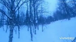 Каждый год по разному