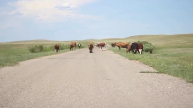 Семизбуга (Автотуризм и автопутешествия в Казахстане)- Карагандинская область