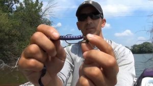 How To Set Up Shaky Head Jigs with Soft Plastic Baits