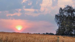 "ОЙ, ТЫ ПОЛЮШКО, РАЗДОЛЬЕ... (Фото Александра Шадракова (Кемерово) - Поёт Людмила Зыкина)
