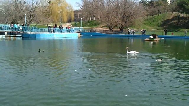 Парк победы смотреть онлайн