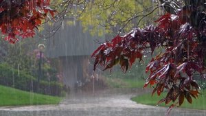 Звук дождя грома и грозы. Расслабляющие звуки природы Усыпляющие звуки летнего дождя