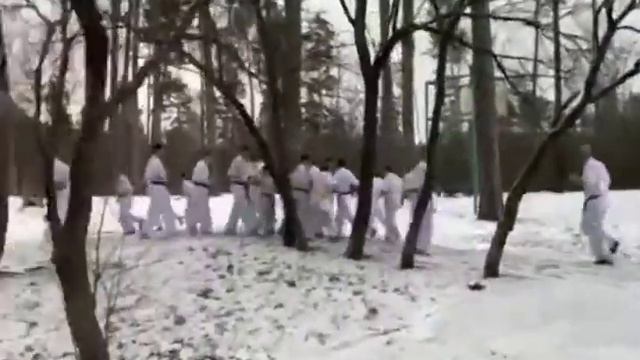 Тренировка на мороз.Зимняя школа 2020, Центрального Представительства (Бранча) Киокушин-кан Украины смотреть онлайн