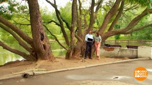 Аллергия на амброзию. Доброе утро. Фрагмент выпуска от 04.08.2022