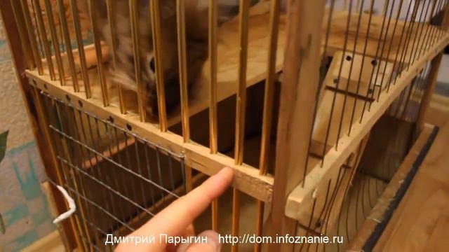 Как сделать клетку для кролика. Двухэтажный пентхаус зайки побегайки.