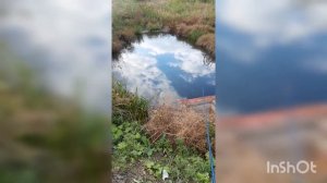 Такого вы ещё не видели,Ротан ???моя самая большая рыба .