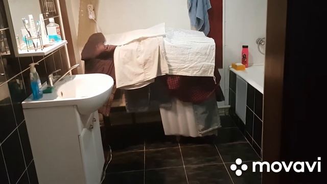 Цыпленок вылупился на Три дня раньше срока!!!!Как такое может быть.???? смотреть онлайн