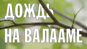 ДОЖДЬ НА ВАЛААМЕ | ВАЛААМСКИЙ МОНАСТЫРЬ