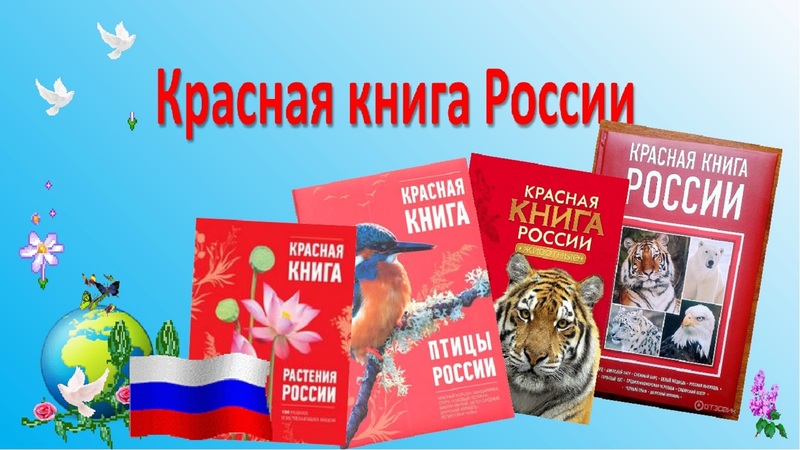 История Красной книги