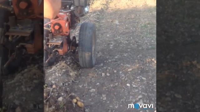 Сбор урожая картофеля мотоблоком с ходоуменьшителем смотреть онлайн