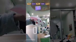 мне делать видео с рапторами и загляни в описание