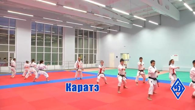Презентация Плавательного и спортивного комплексов Динамо