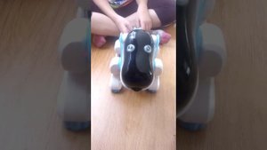 Обзор на робо-собаку