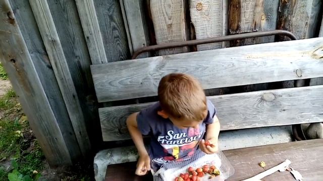 Ищем Земляничные Места? Воробьиный Душ на Даче? смотреть онлайн