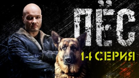 «Пёс»: 14 серия | «Кощей» | Сериалы НТВ